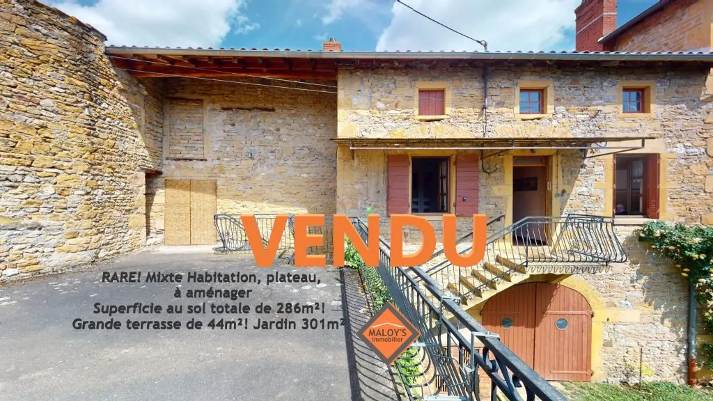 photo_ff9d7fdfb5dc323ee18154382b0e2283-1