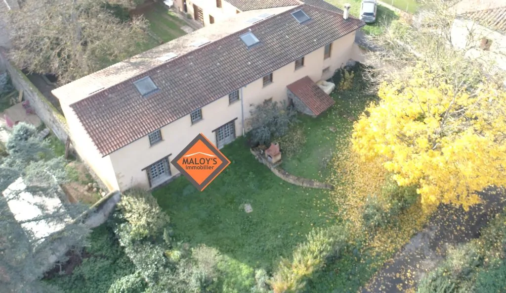 photo_03f8842fbf4b9eb77d0a95efd2c16a6f-1