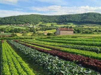 Saint-Romain-de-Popey – 25 & 26 avril 2026 : Portes Ouvertes « De Ferme en Ferme » au Potager de la Coccinelle