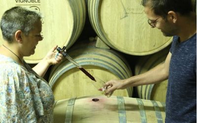 Saint-Germain-Germain-Nuelles : Créez votre propre cuvée de vin – Ateliers assemblage Mai-Juin 2026