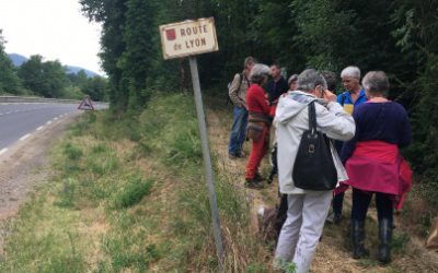 L’Arbresle – 23 mai 2026 : Découverte du sentier botanique, une balade nature gratuite au cœur de la ville