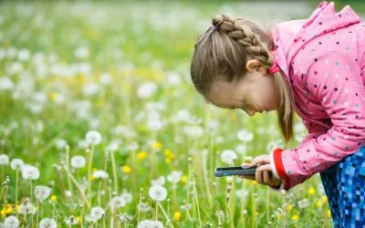 Bully – 30 mai 2026 : Atelier Herbier Photographique en Pleine Nature