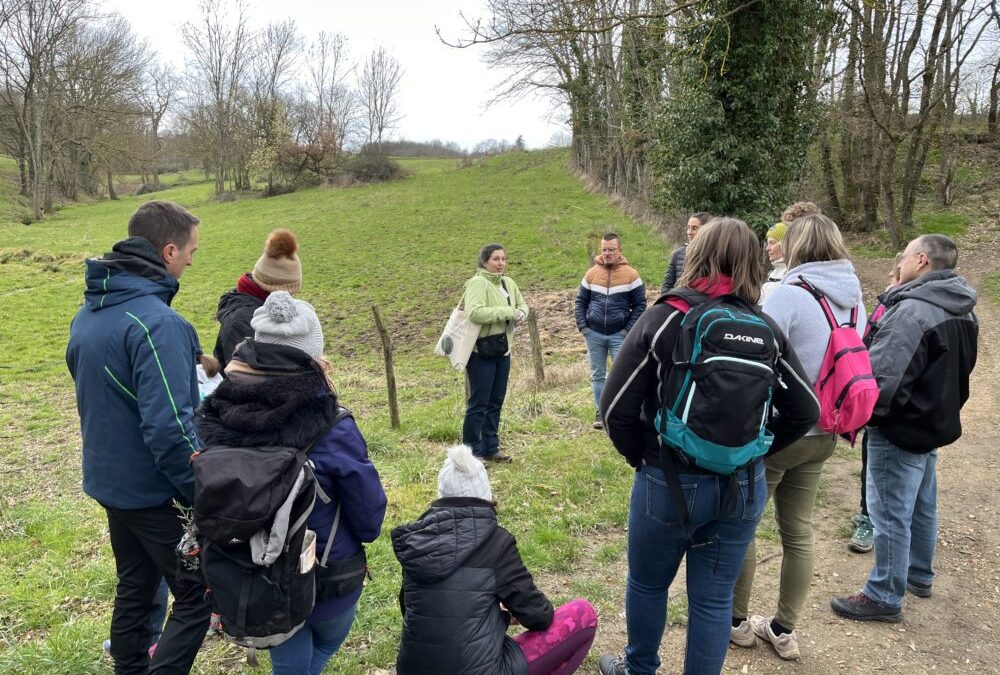 Lentilly – 30 mai 2026 : Marche du Temps Profond, une balade insolite de 4,6 km à travers 4,6 milliards d&rsquo;années