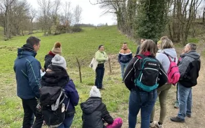 Lentilly – 30 mai 2026 : Marche du Temps Profond, une balade insolite de 4,6 km à travers 4,6 milliards d’années