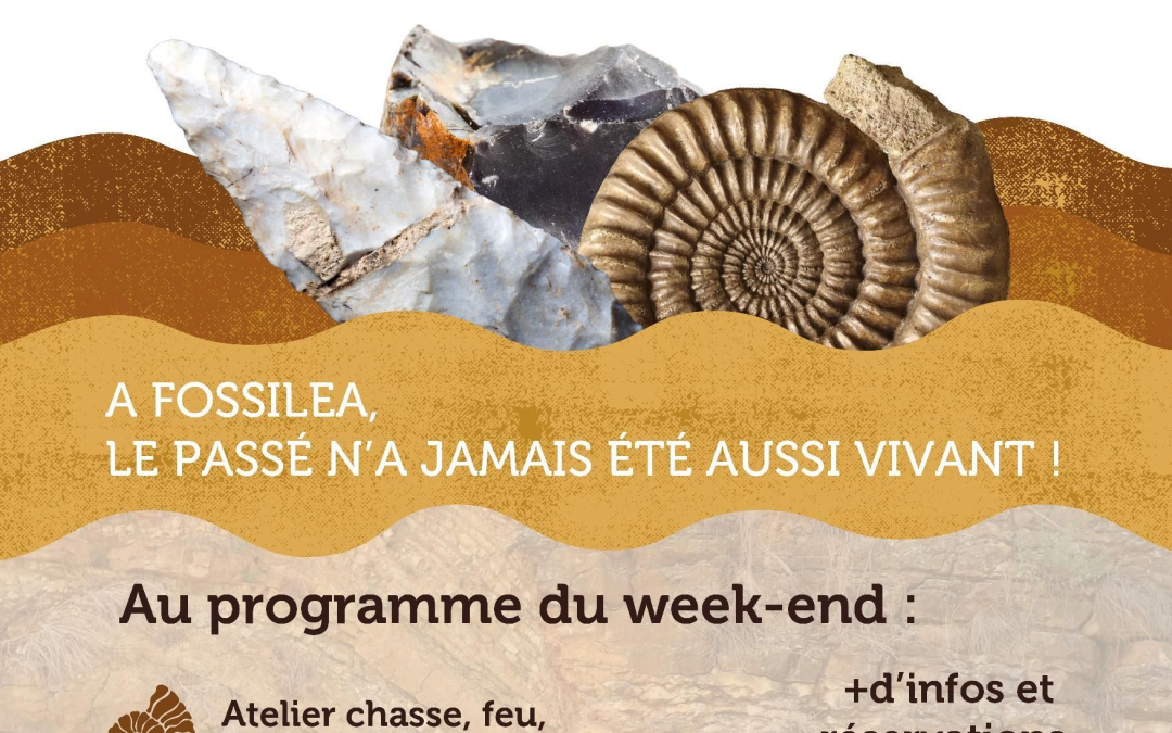 Saint-Jean-des-Vignes – 13 & 14 juin 2026 : Journées Européennes de l&rsquo;Archéologie à Fossilea