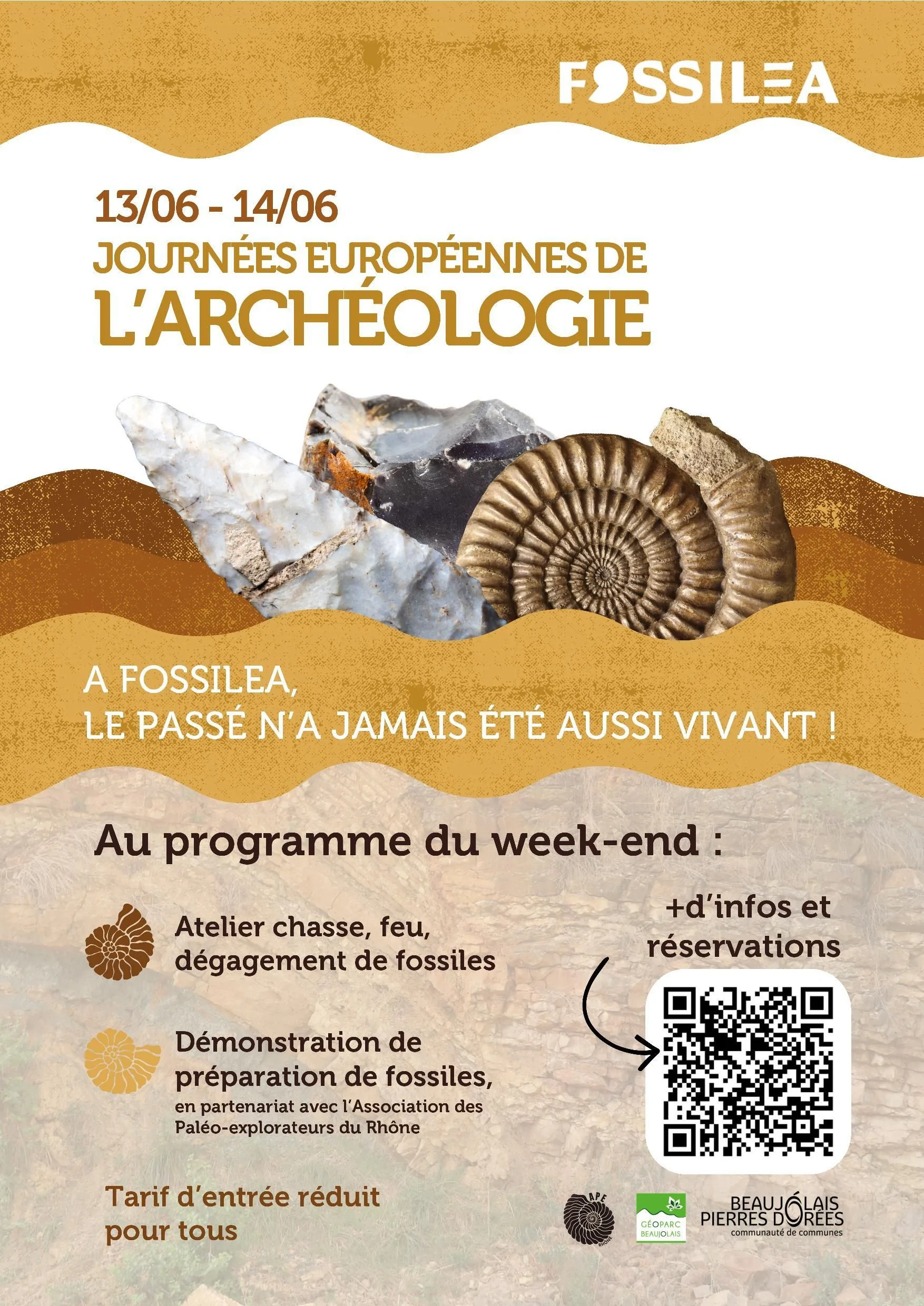 06-13-fossilea journée découverte de l'archéologie avec fossilea