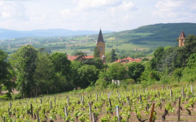 Visite-apéritive à Bully (69210) – 1er août 2026 : Découverte d’un village en Pierres Dorées 🍷